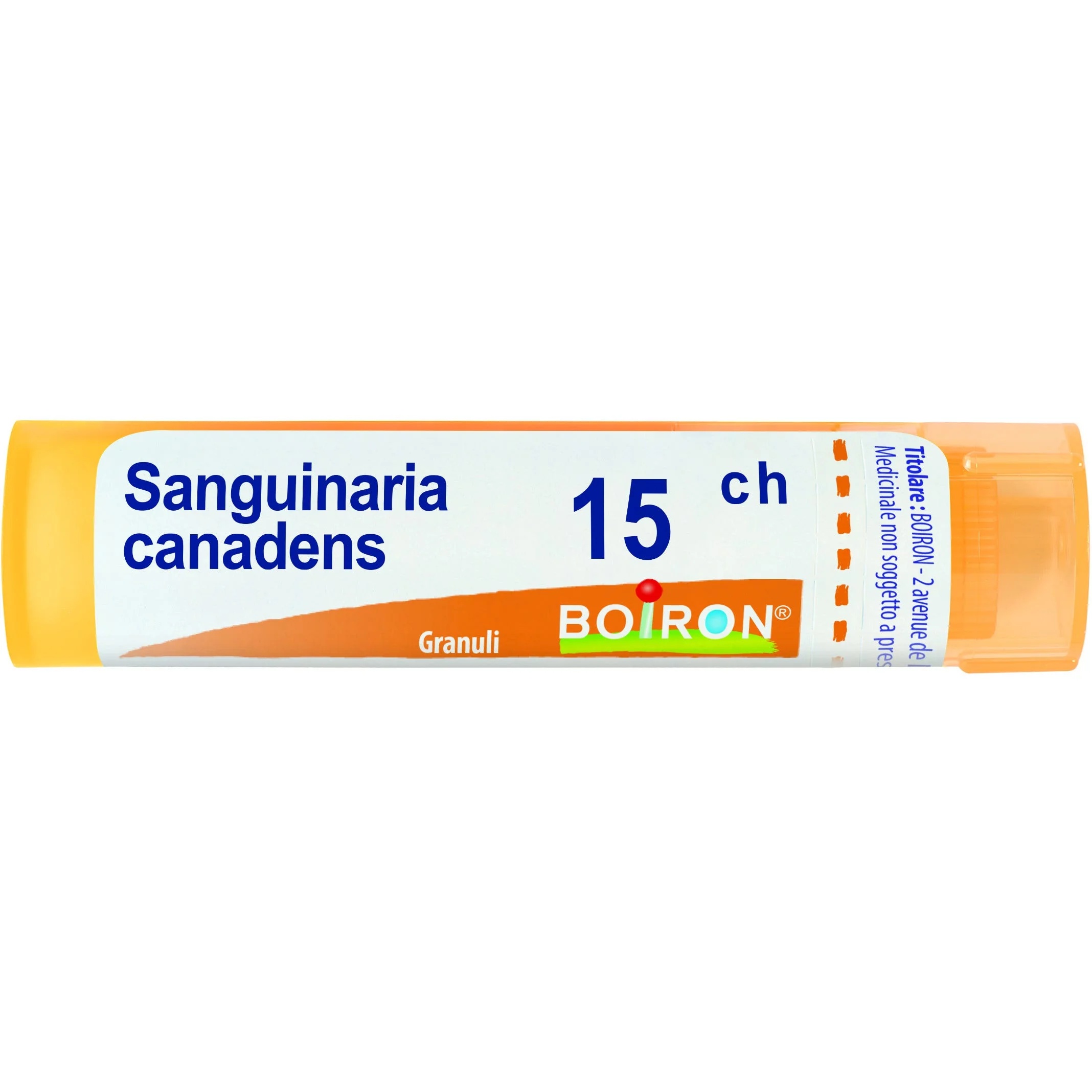 BOIRON Sanguinaria Canadensis 15 Ch