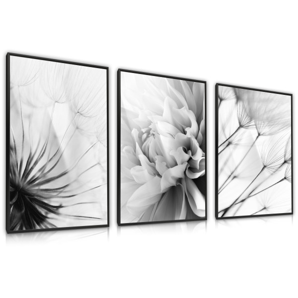 ZESTAW X3 PLAKAT W RAMIE CZARNO-BIAŁE DMUCHAWCE 30x40cm