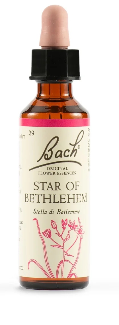 SCHWABE Schwabe Bachblüten 29 Bethlehem Tropfen 20 ml