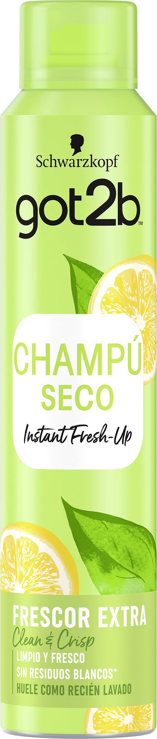 „Fresh It Up“ sausas šampūnas Sausi šampūnai