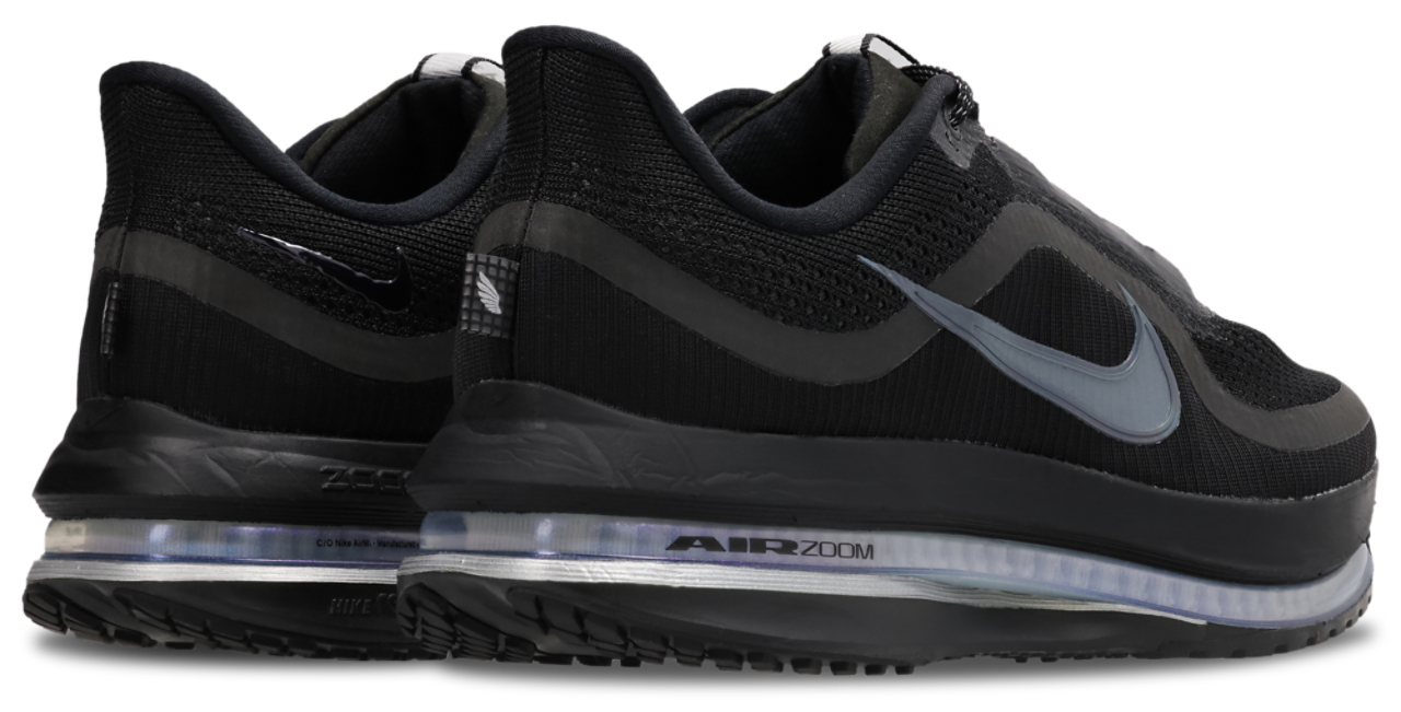 Nike Pegasus Premium