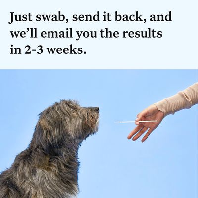 Wisdom Panel™ Βασικό Τεστ DNA για Σκύλους