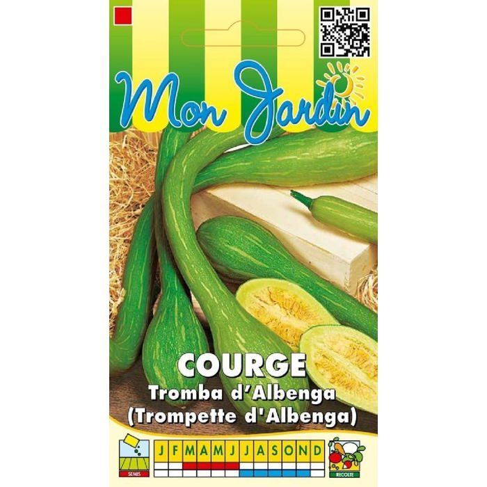 Graine - Semence - Courge Tromba d'Albenga