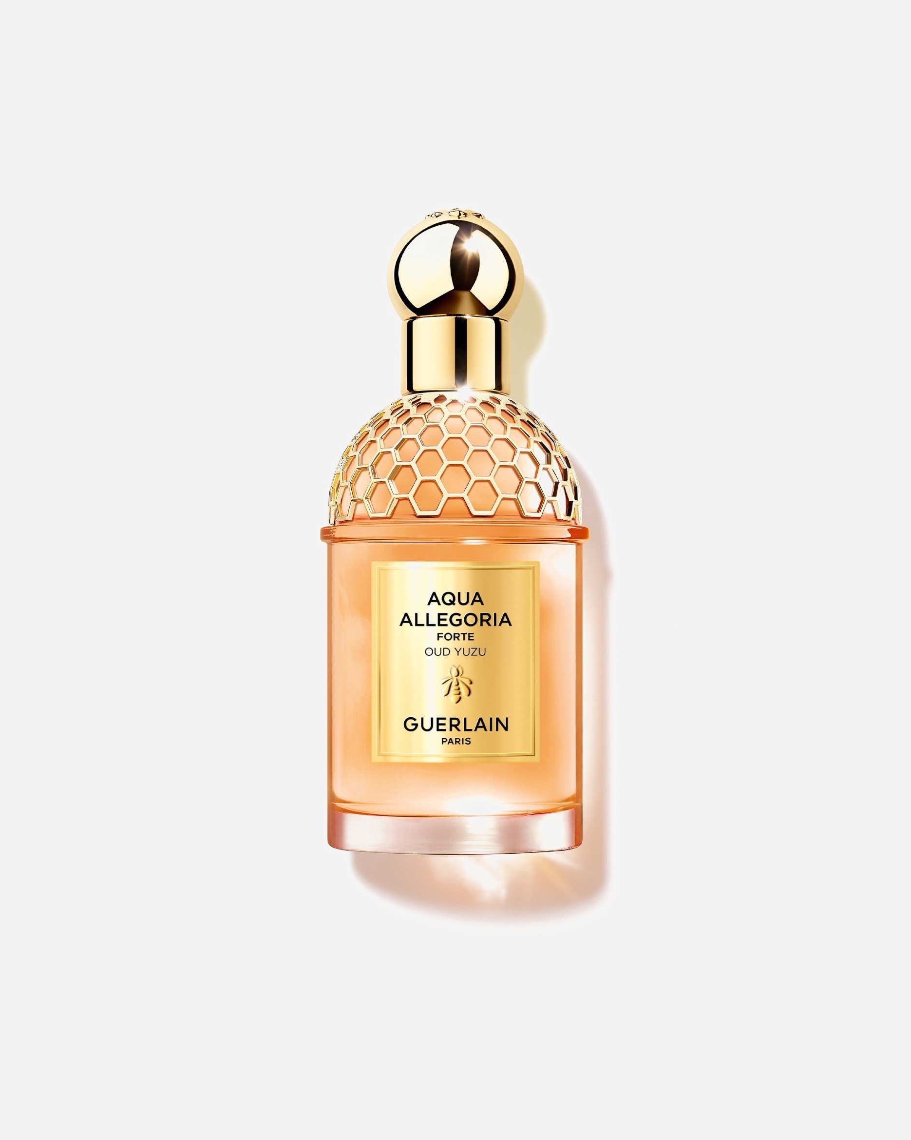 Guerlain parfemska voda Aqua Allegoria Forte Oud Yuzu - 75 ml
