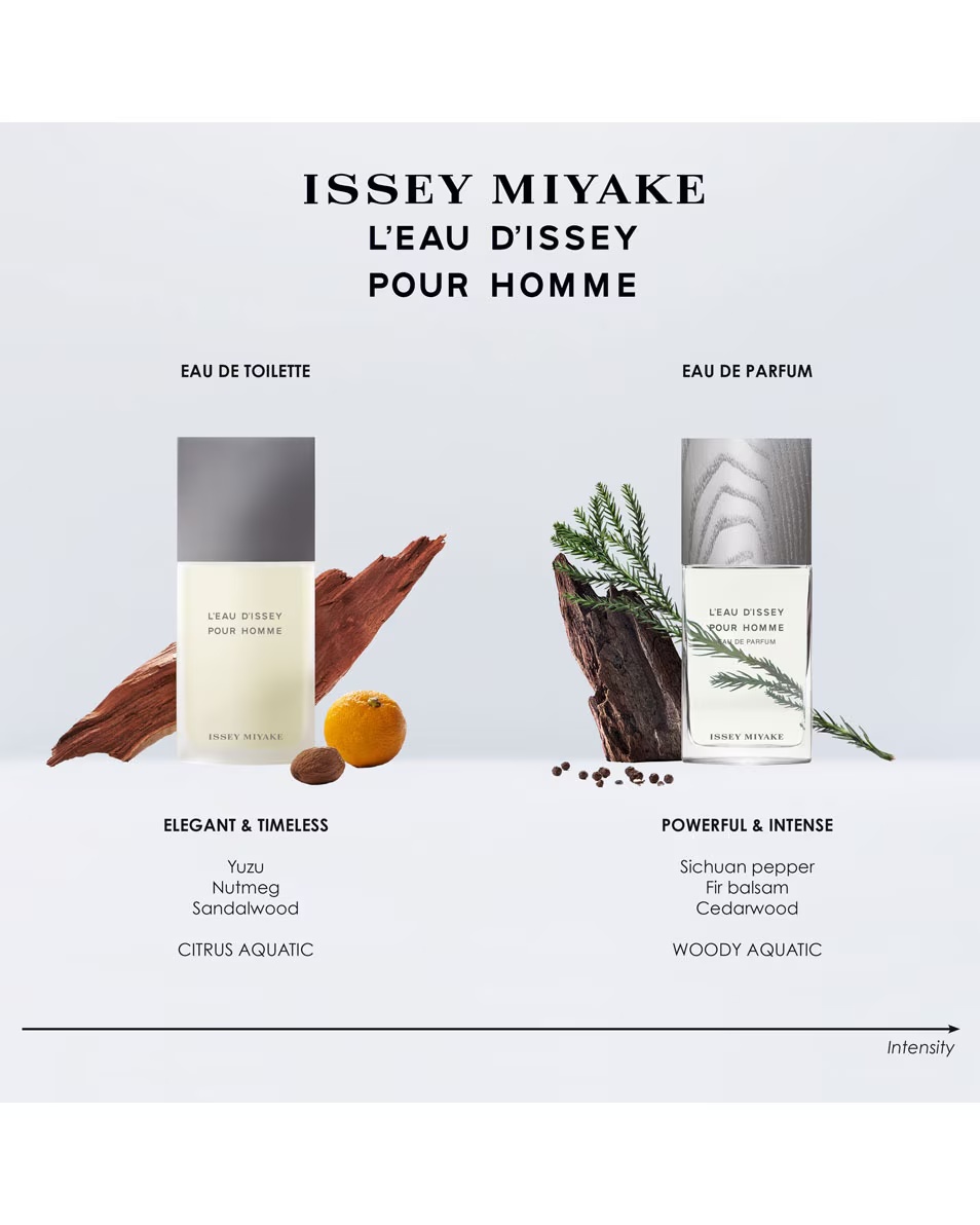 ISSEY MIYAKE L'EAU D'ISSEY POUR HOMME EAU DE TOILETTE SPRAY