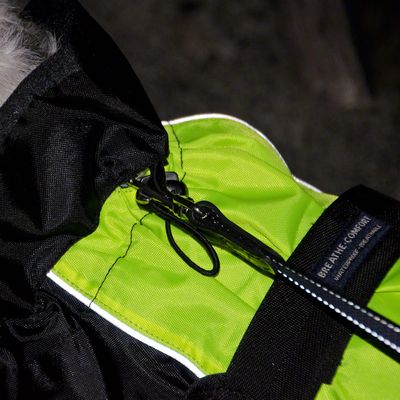 Cappotto per cani Illume Nite - Neon