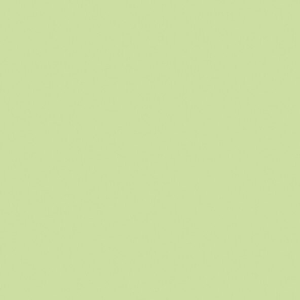 Colors for Friends No. 6 Parrot Green, 2.5l