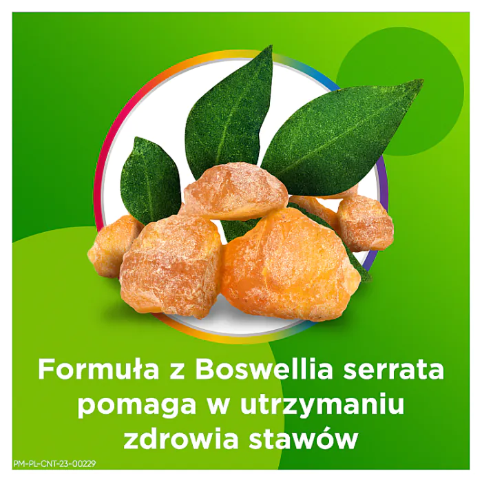 Centrum Active Move Kapsułki