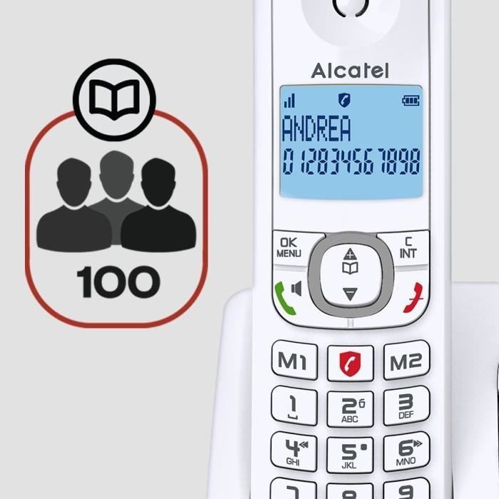 Téléphone sans fil - ALCATEL - F530 Voice - Répondeur, blocage d'appels, mains libres, 2 mémoires directes, Blanc/Gris