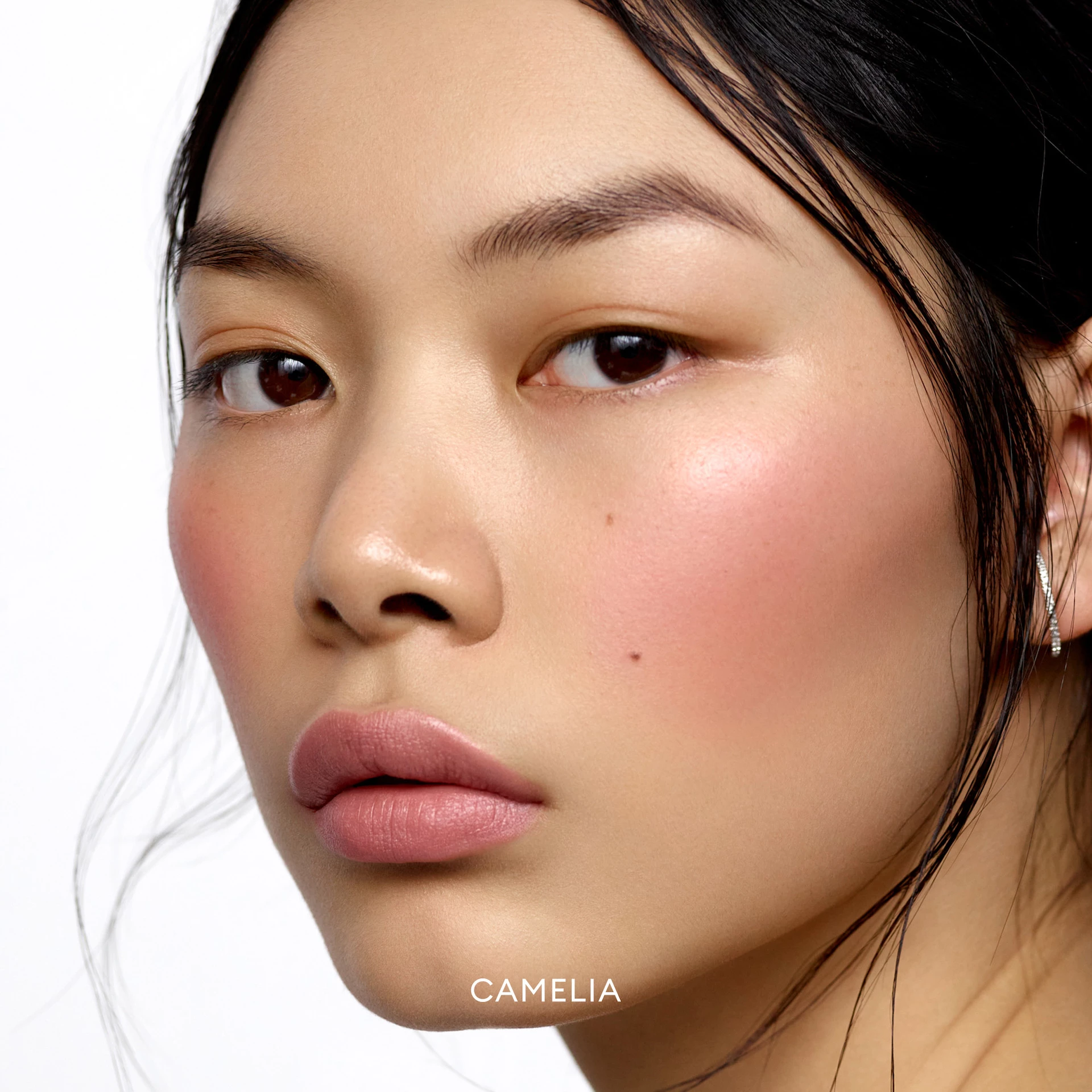 Blush Divine Radiant Lip & Cheek Color Camellia - Rose Inc