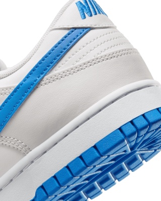 Nike Dunk Low Retro Men's Shoes