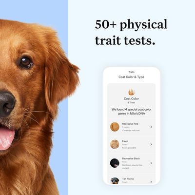 Test del DNA essenziale per cani Wisdom Panel™