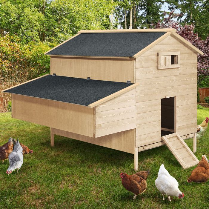 IDMARKET Poulailler chalet XXL pour poules avec pondoir en bois