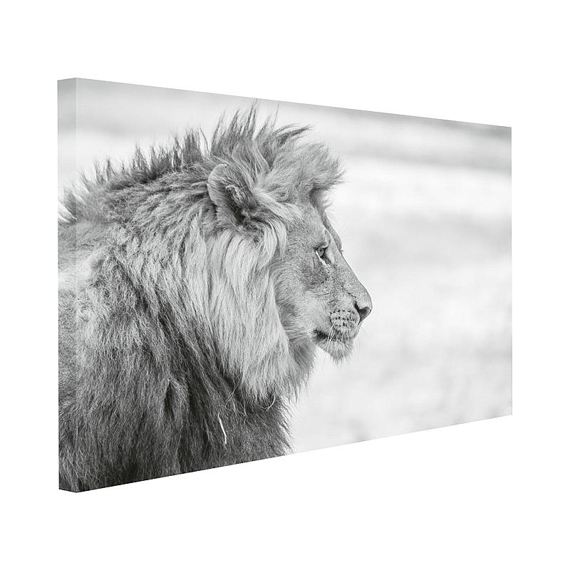 Tableau sur toile 70x100 cm