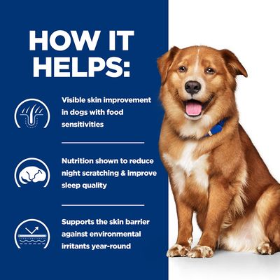 Hill's Prescription Diet Canine Derm -märkäruoka koirille
