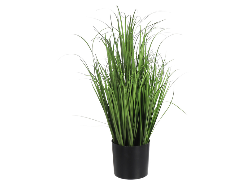 Trawa w doniczce 56 cm