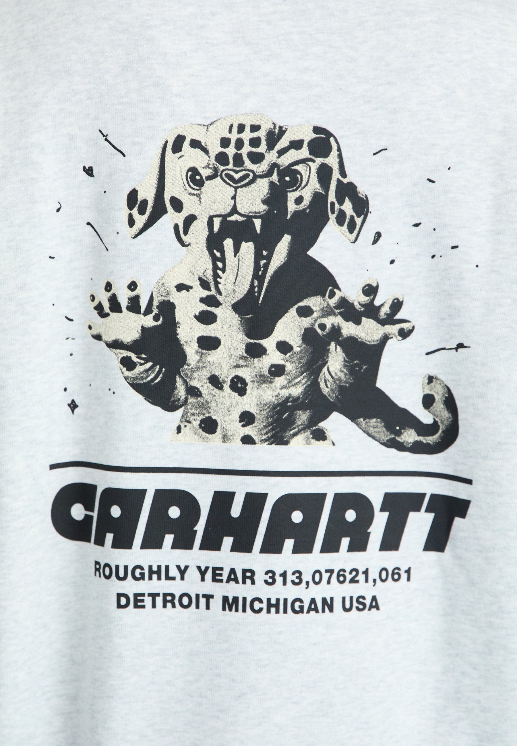 Sweat-shirts Carhartt WIP