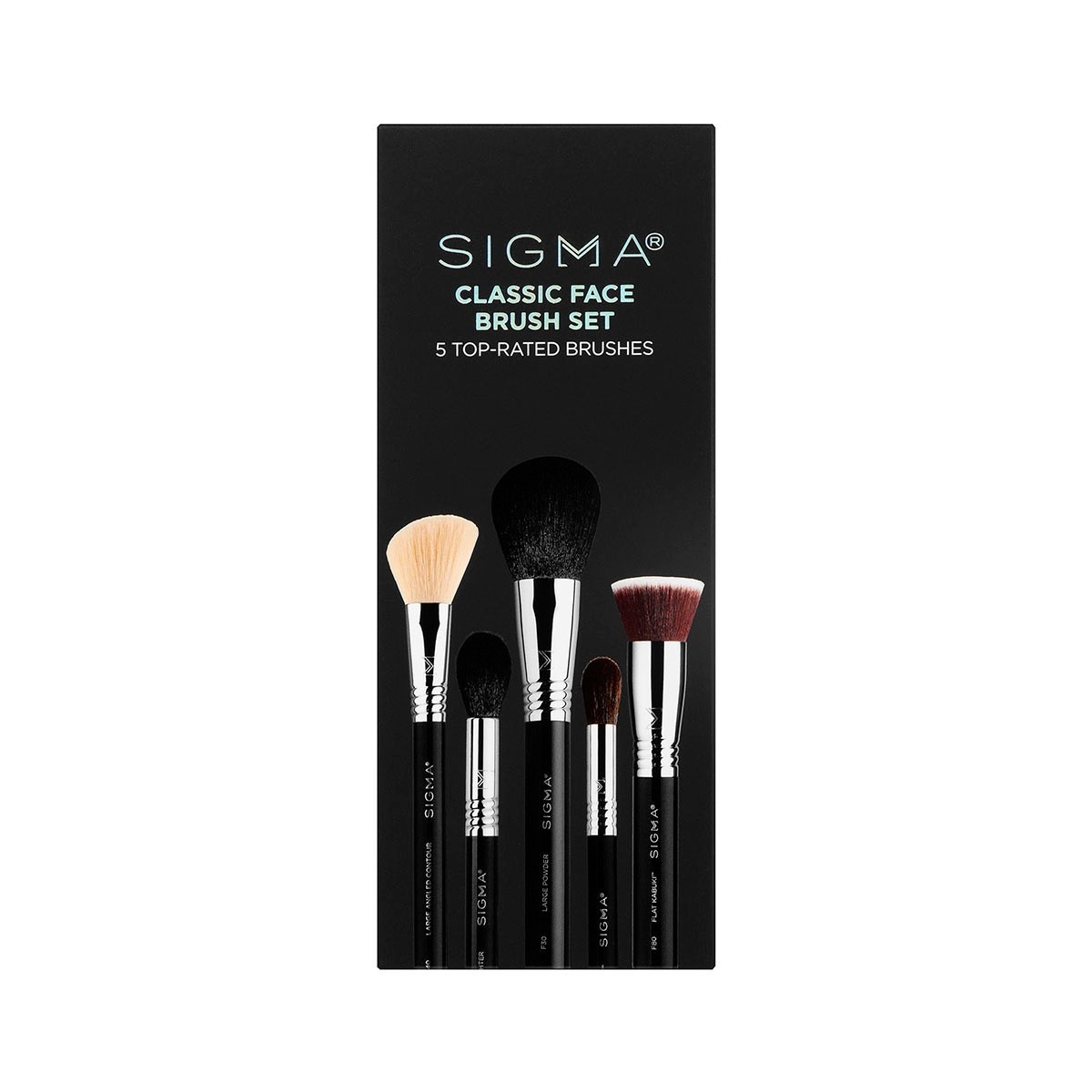 Sigma Ensemble de pinceaux classiques pour levisage