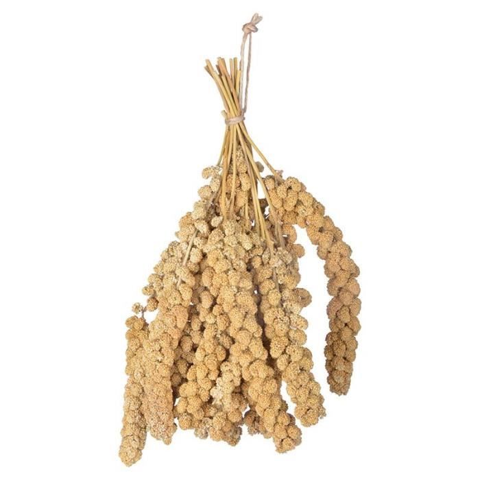 Painço para pássaros 400g