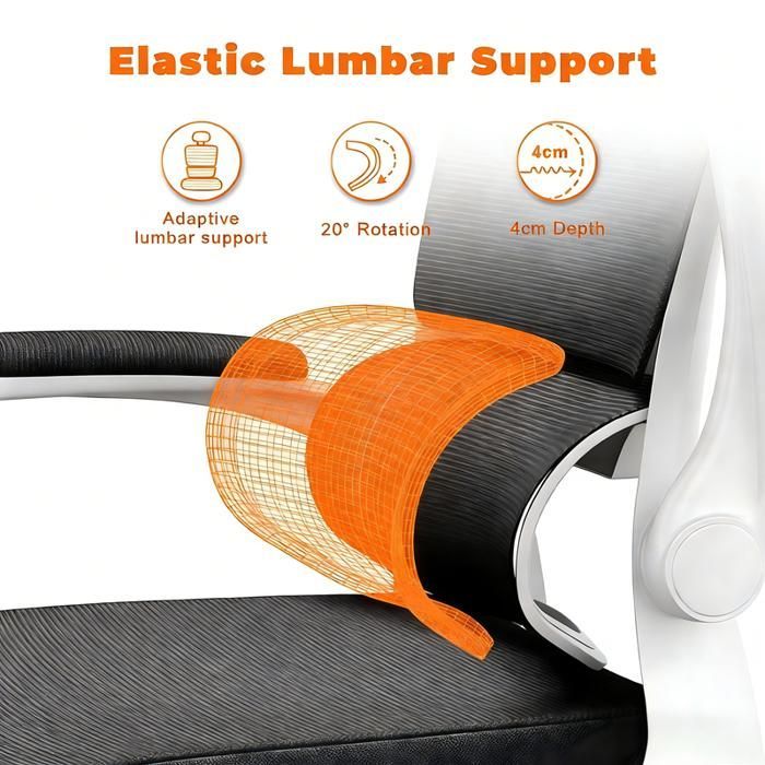 BIGZZIA Office Chair with Armrests - On Casters - with Headrest and Lumbar Support - Height Adjustable, White