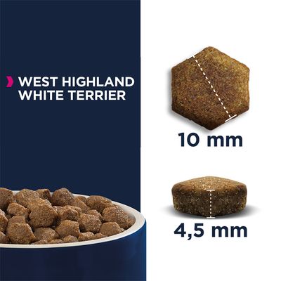 Eukanuba West Highland White Terrier Vuxen