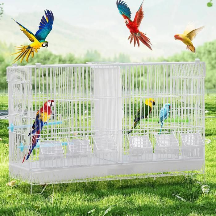 MIPAN. Cage À Oiseaux Volière Avec Mangeoires -  Pour Canaris Perruches Perroquets - 60x26x39.5cm - Blanc
