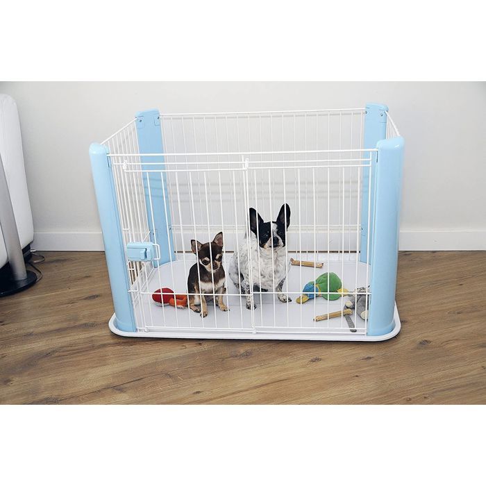 IRIS OHYAMA - Parque para cachorros / Recinto interior - Ganchos de seguridad - Para perros - Pet Circle - CLS-960 - Azul