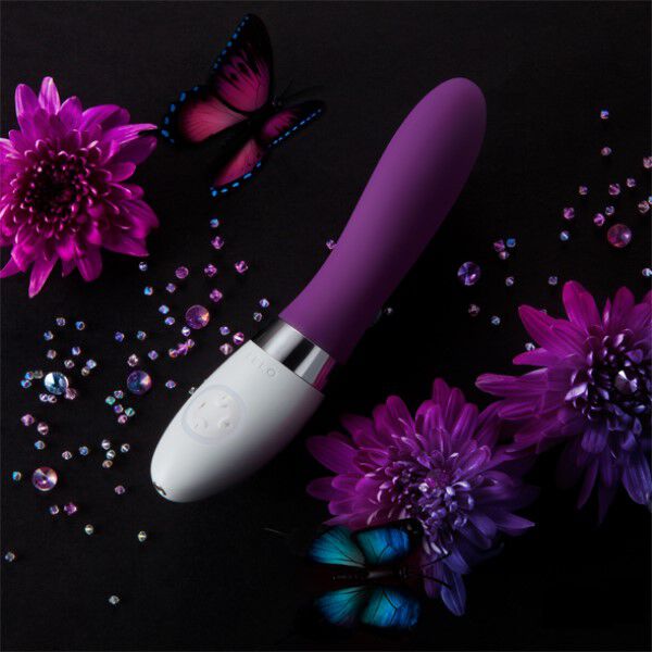Lelo Life 2