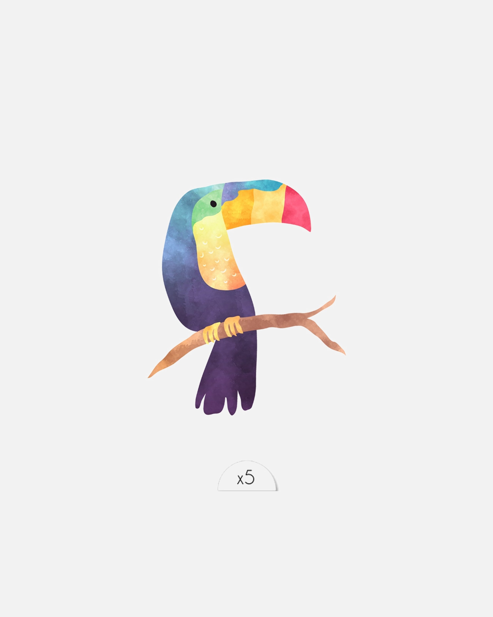 Sioou Toucan