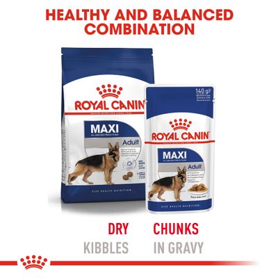 Royal Canin Maxi Adulte en sauce