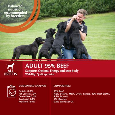 Alimento húmedo para perros Wellness Core Adult con 95 % de proteína única de carne de res y brócoli