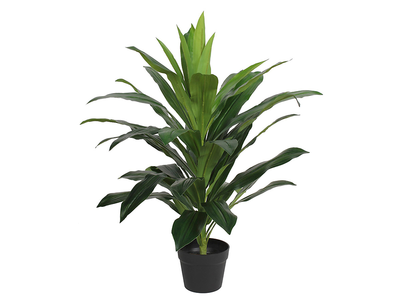 Sztuczna roślina w doniczce dracena 80 cm
