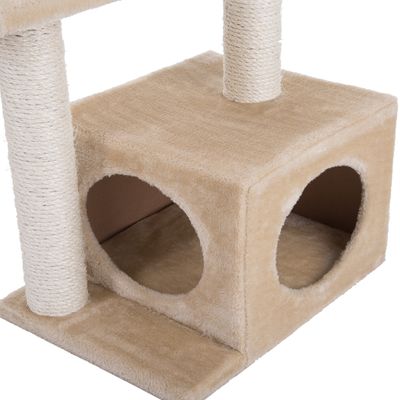 Oasis Katzenbaum