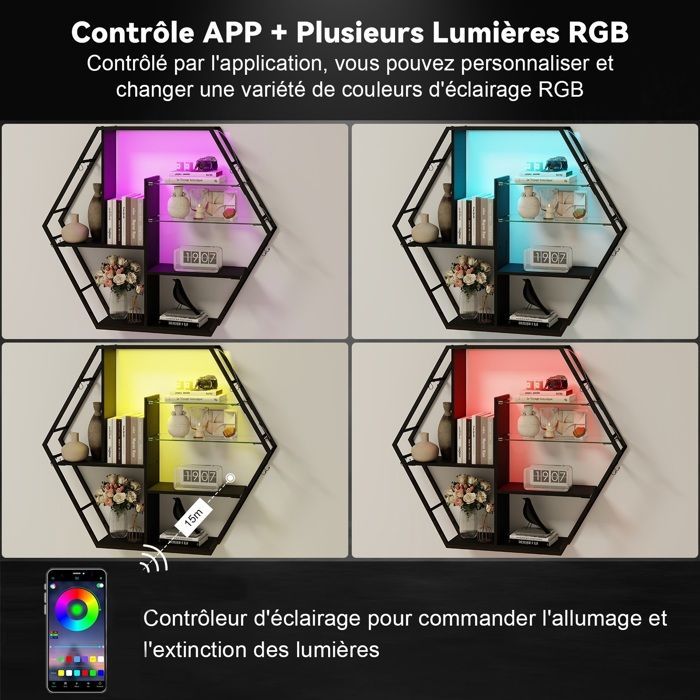 Étagère Murale avec Éclairage LED RVB, 5 Niveaux de Rangement, Étagère Flottante en Métal et Verre, Noir