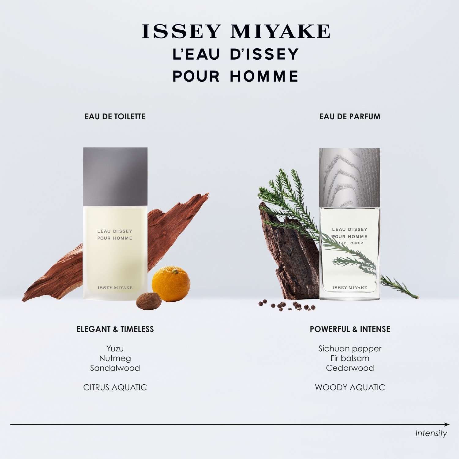 Issey Miyake toaletna voda L'Eau d'Issey pour Homme toaletna voda - 40 ml