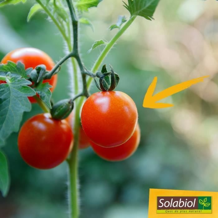 SOLABIOL Tomatenmeststof - 750 g