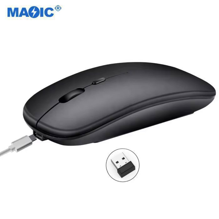 Souris Rechargeable Sans Fil Noir  Silencieuse, LED RGB, 2.4GHz, DPI Réglable, Ergonomique, pour PC/Mac/Ordinateur