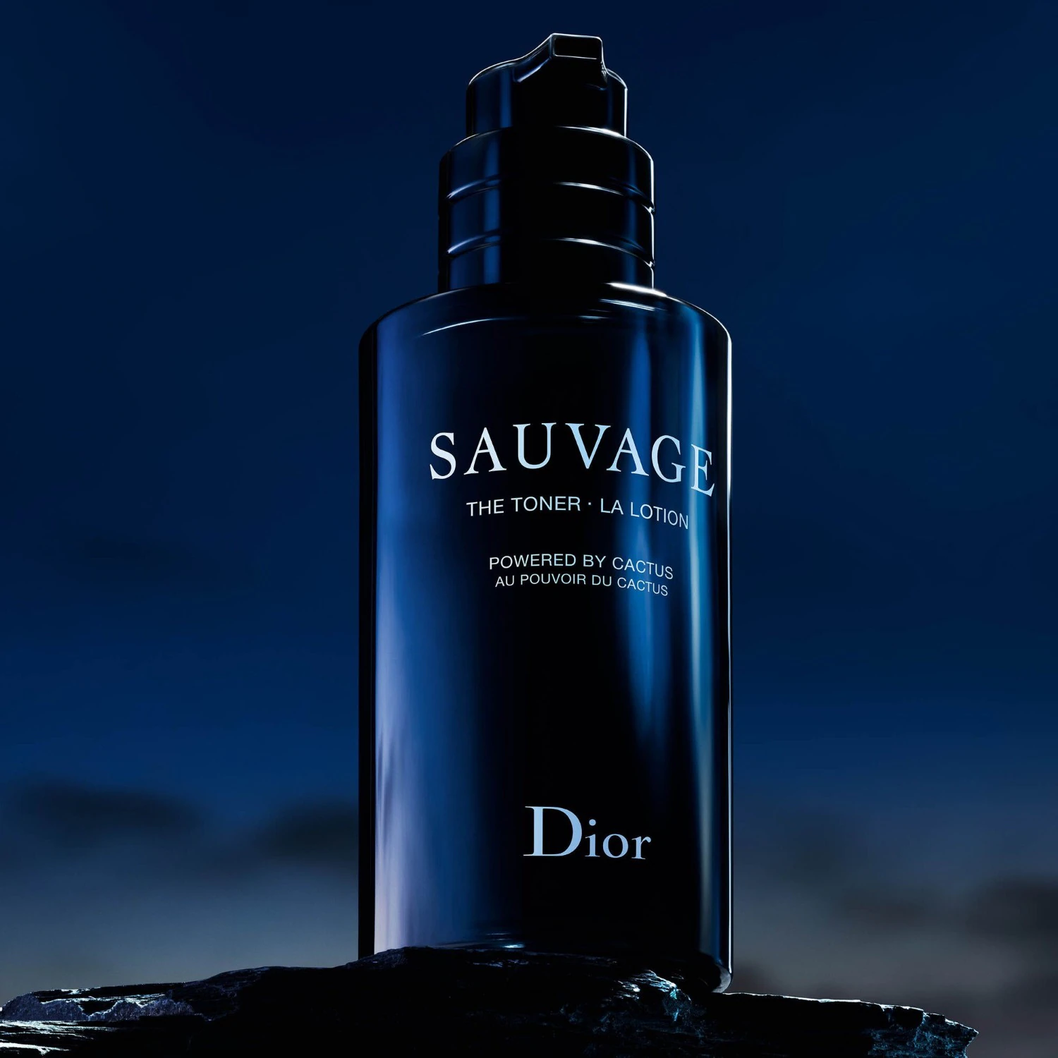 DIOR The Toner