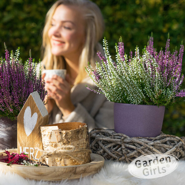 Σετ 6 τεμαχίων Knospenheide Gardengirls®