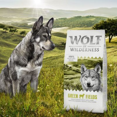 Wolf of Wilderness Adulto 