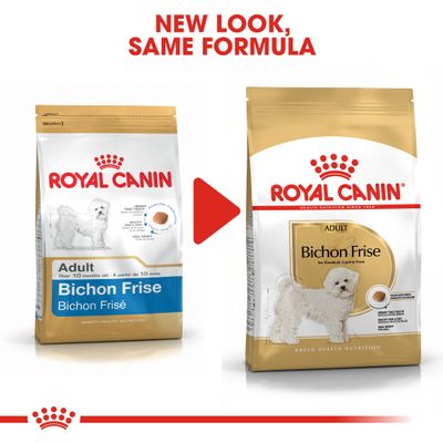 Royal Canin Bichon Frise Voksen