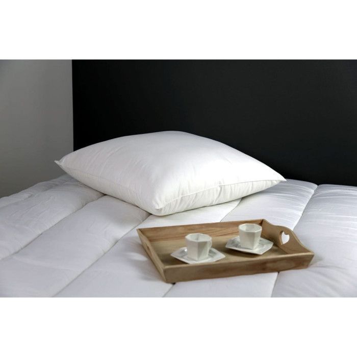 Set van 2 Microstar Medium Anti-huisstofmijtkussens 