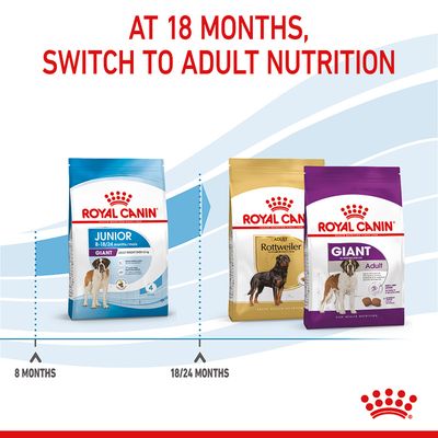 Royal Canin Giant Junior