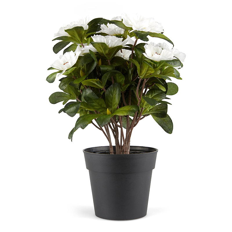 Belgische Azalee für Zuhause, 25 cm, künstlich