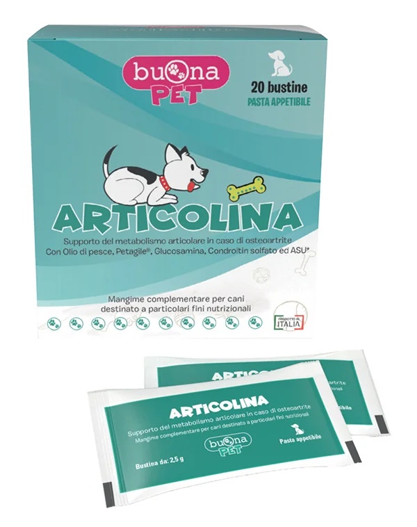 BOM Artigo 20 A Queda de um Bom Animal de Estimação