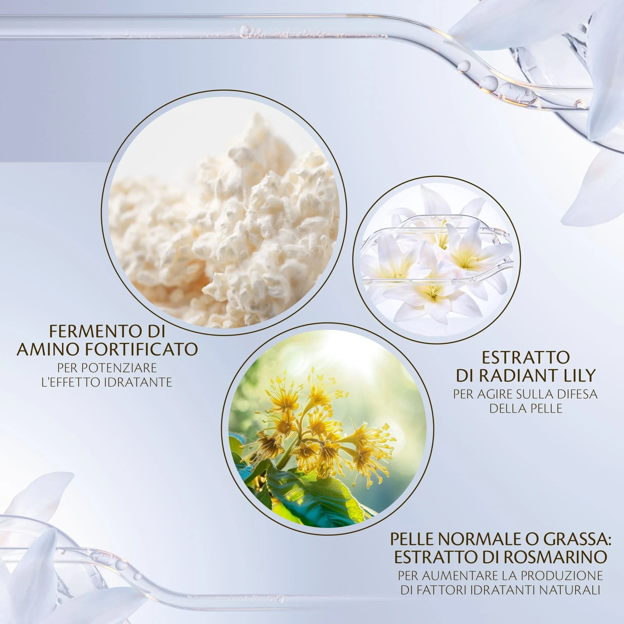 Key Radiance Care Hydro-Clarifying Essence Lotion - Fluido viso idratante, Fluido viso illuminante, Perfezione della Pelle