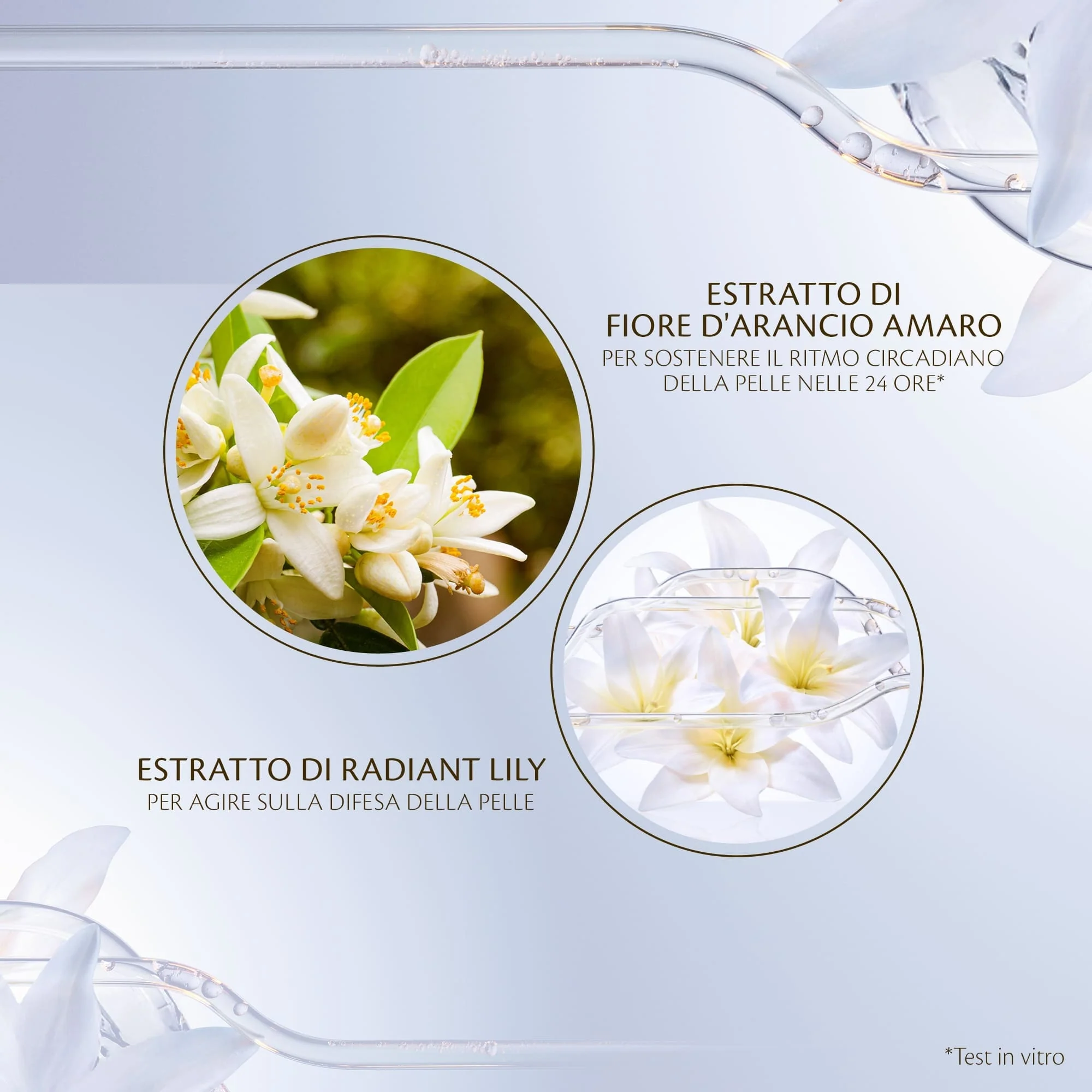 Key Radiance Care Intensive Night Emulsion - Fluido viso idratante, Fluido viso primi segni