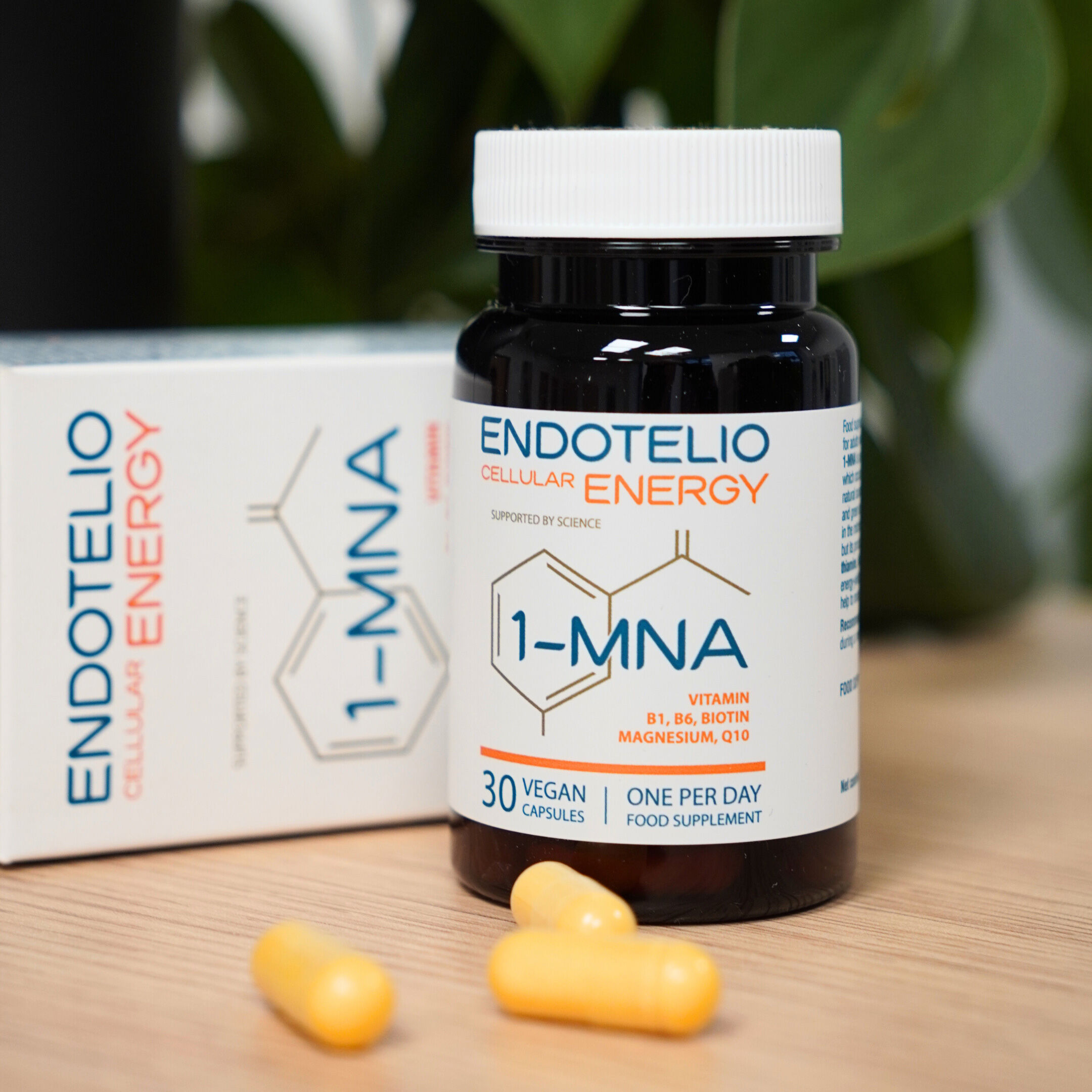 Endotelio Cellular Energy