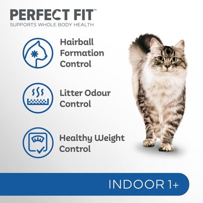 Perfect Fit Indoor 1+ Reich an Hühnchen