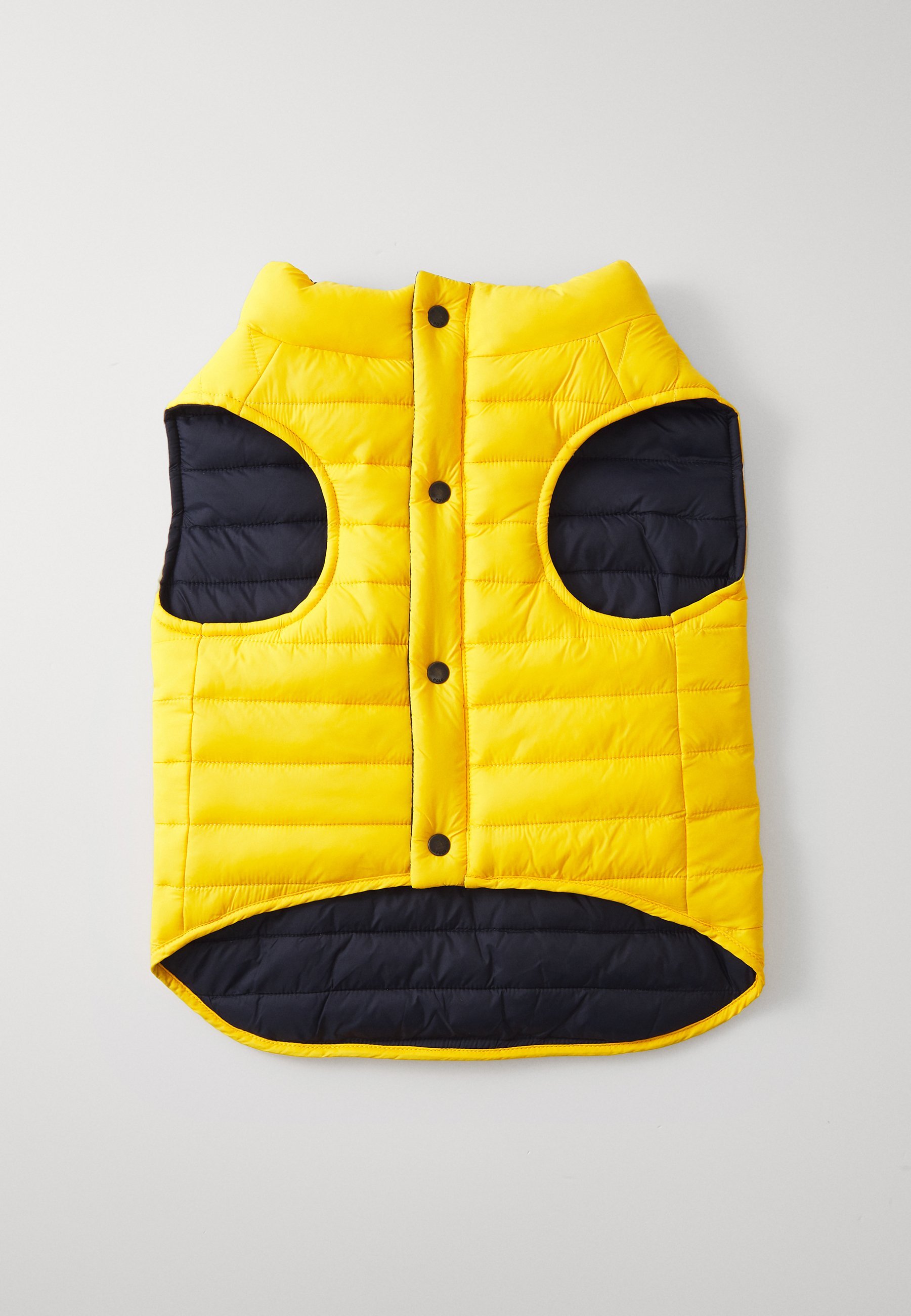 Polo Ralph Lauren huisdier